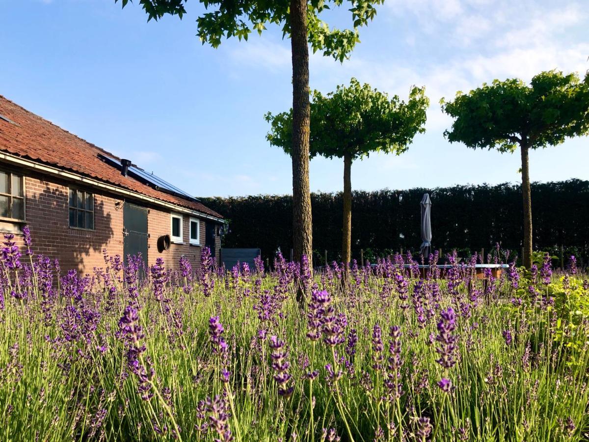 Lavender Lodge Achthuizen Екстер'єр фото