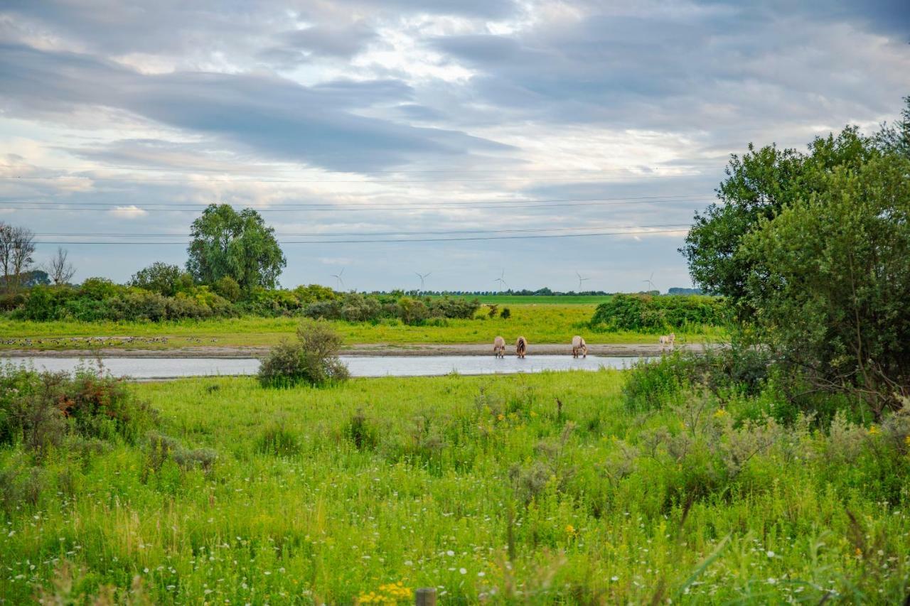 Lavender Lodge Achthuizen Екстер'єр фото
